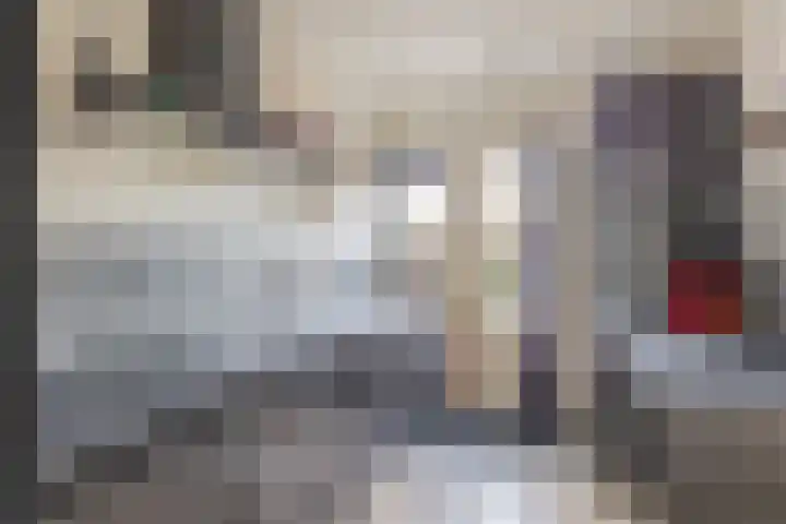 Beukenlaan 54 Spijkenisse thumbnail 16
