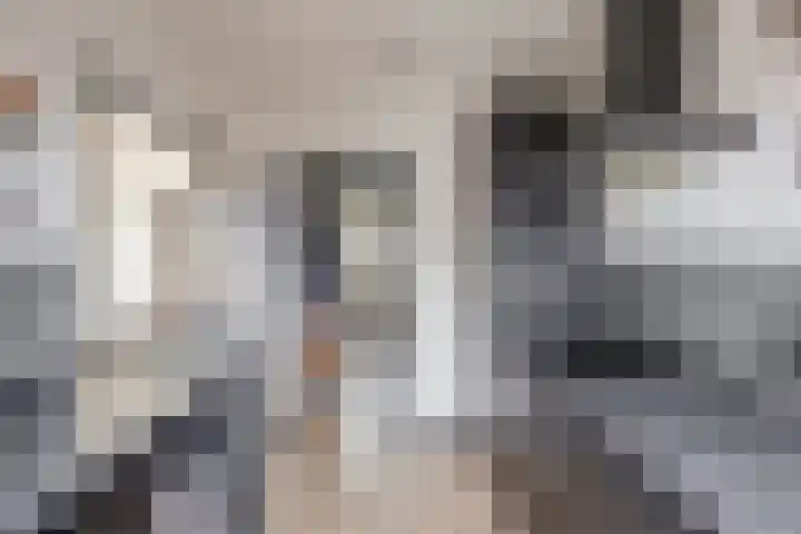Beukenlaan 54 Spijkenisse thumbnail 18