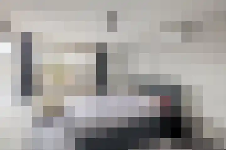 Beukenlaan 54 Spijkenisse thumbnail 21