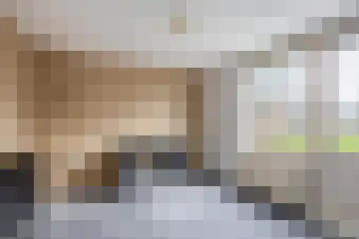 Beukenlaan 54 Spijkenisse thumbnail 23