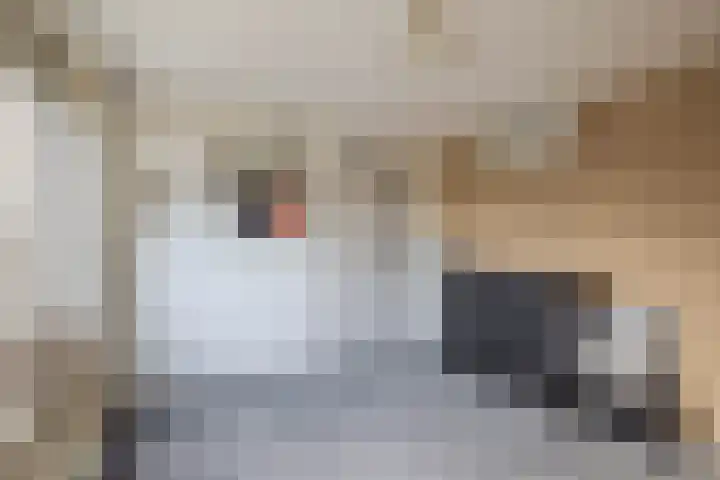 Beukenlaan 54 Spijkenisse thumbnail 24