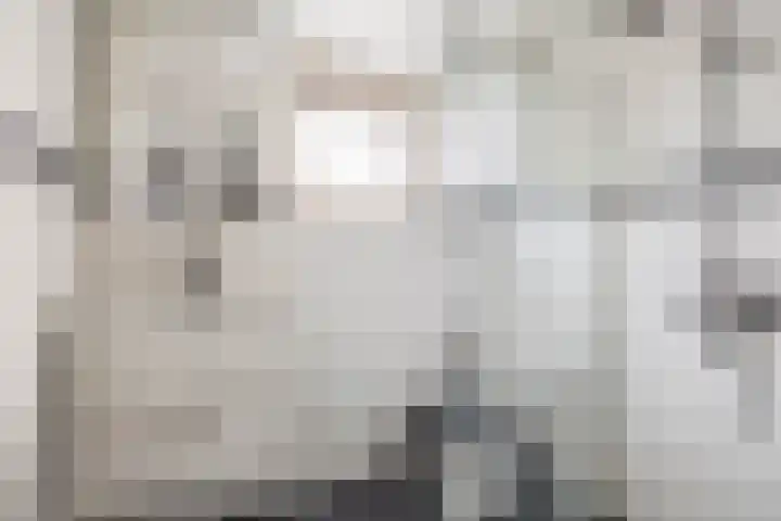 Beukenlaan 54 Spijkenisse thumbnail 25