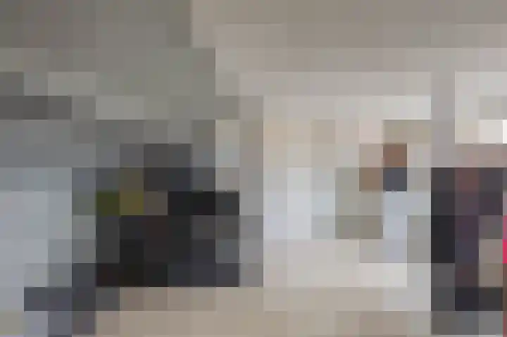 Beukenlaan 54 Spijkenisse thumbnail 27