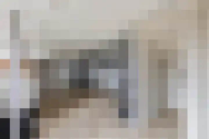 Beukenlaan 54 Spijkenisse thumbnail 28