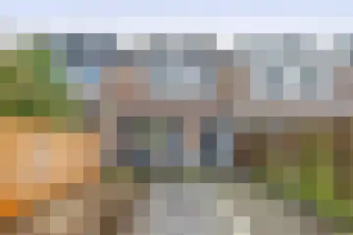Beukenlaan 54 Spijkenisse thumbnail 31