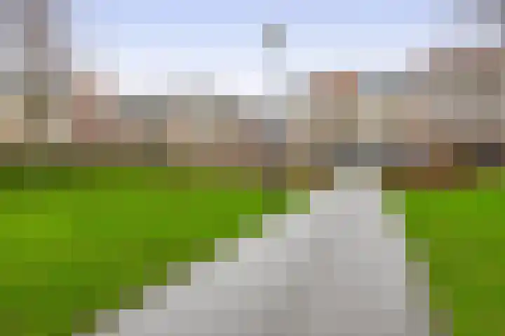 Beukenlaan 54 Spijkenisse thumbnail 33