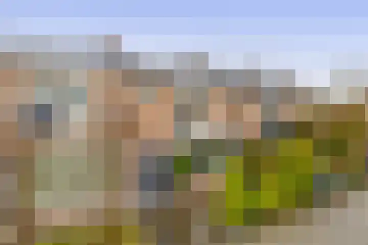 Beukenlaan 54 Spijkenisse thumbnail 4