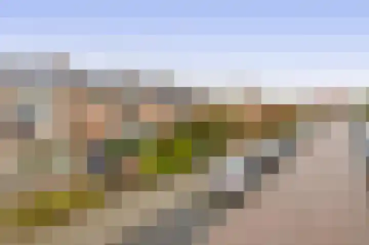 Beukenlaan 54 Spijkenisse thumbnail 5