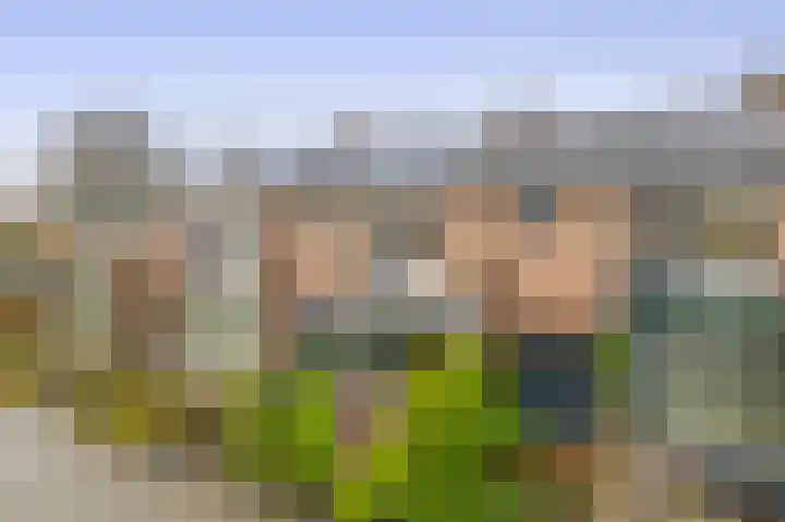 Beukenlaan 54 Spijkenisse thumbnail 6