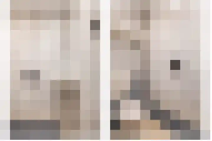 Beukenlaan 54 Spijkenisse thumbnail 8
