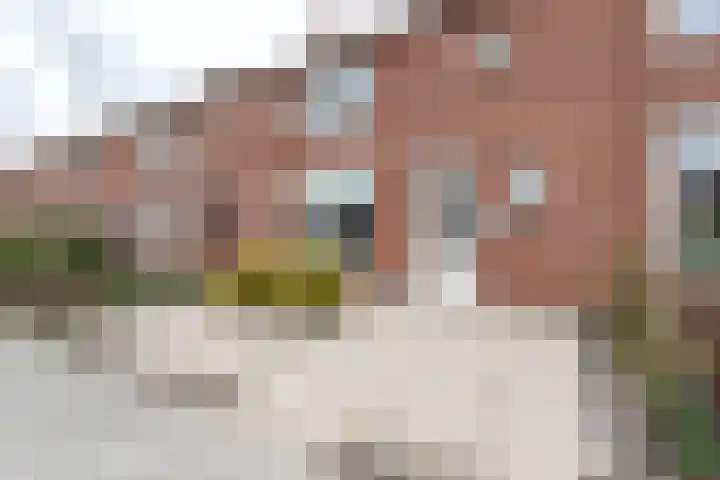 Beukenlaan 55 Winschoten thumbnail 15