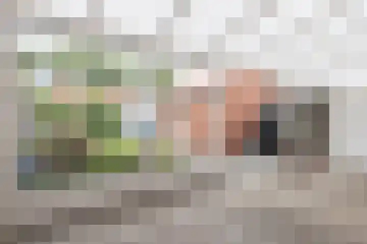 Beukenlaan 55 Winschoten thumbnail 39