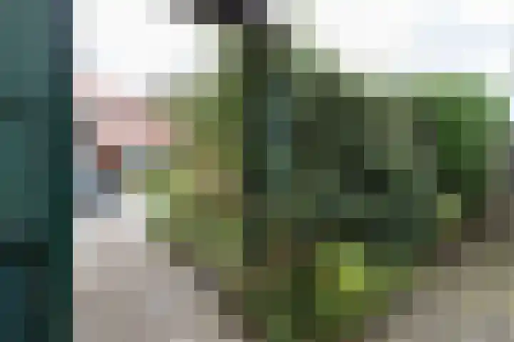 Beukenlaan 55 Winschoten thumbnail 43