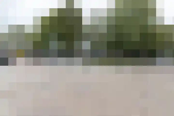 Beukenlaan 55 Winschoten thumbnail 46