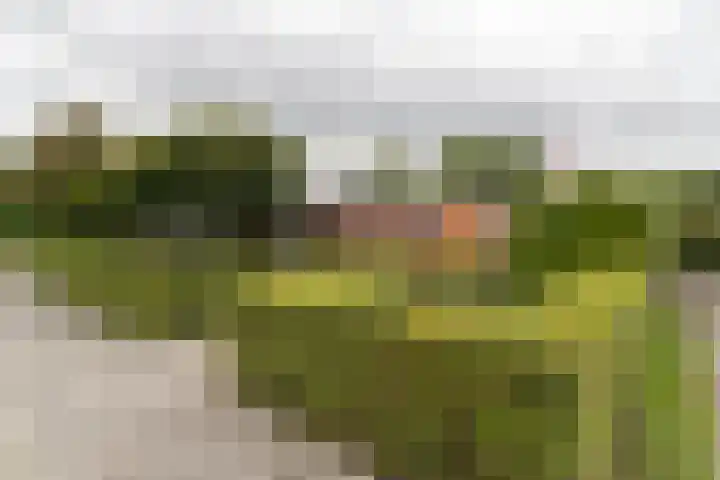 Beukenlaan 55 Winschoten thumbnail 47