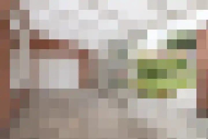 Beukenlaan 55 Winschoten thumbnail 5