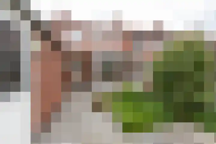 Beukenlaan 55 Winschoten thumbnail 6