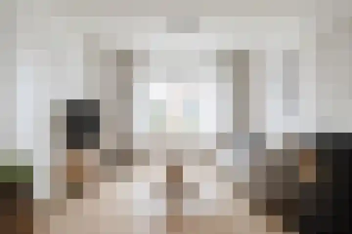 Beukenlaan 55 Winschoten thumbnail 8