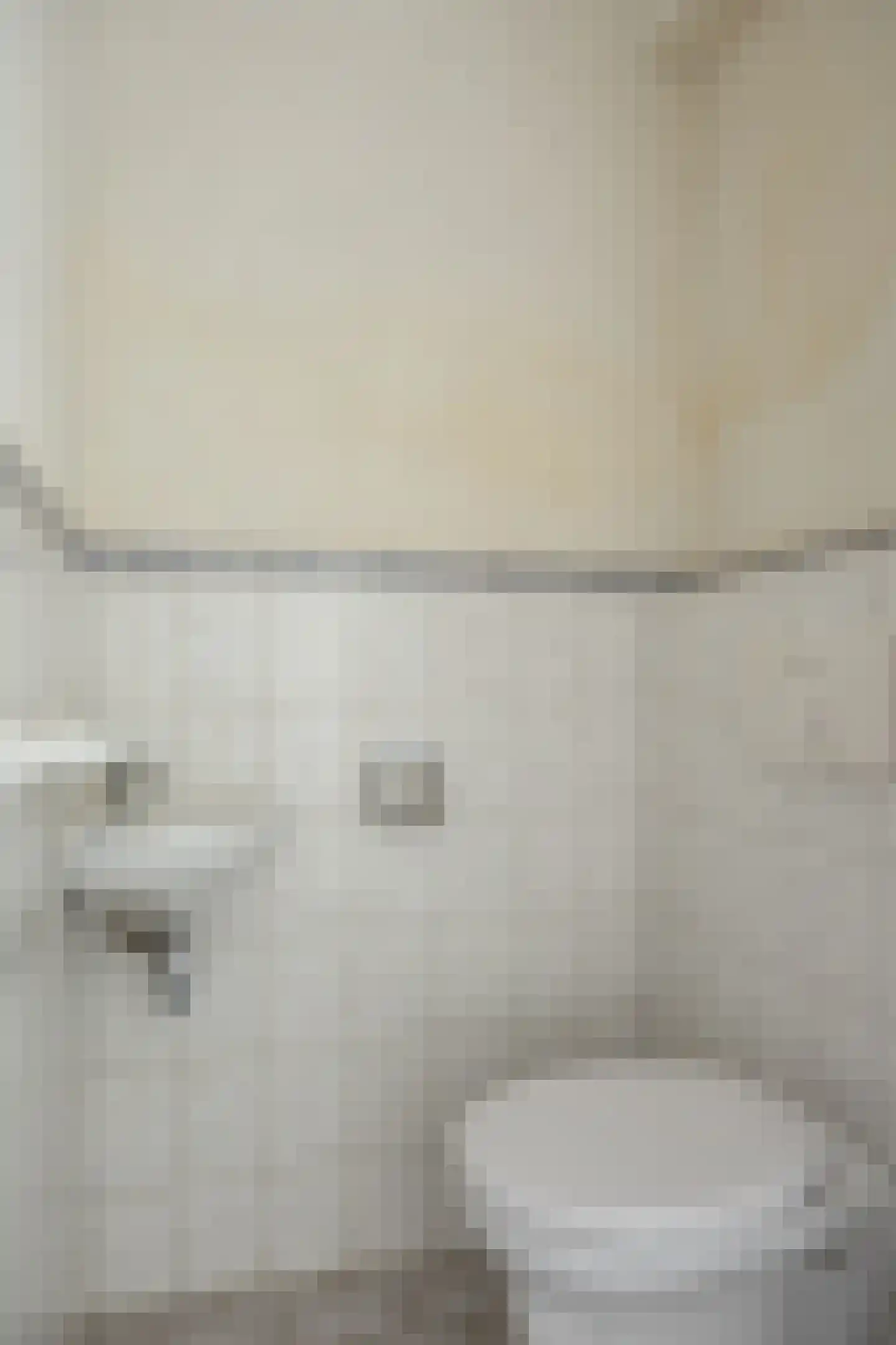 Beukenlaan 6 Nieuwe Pekela thumbnail 11