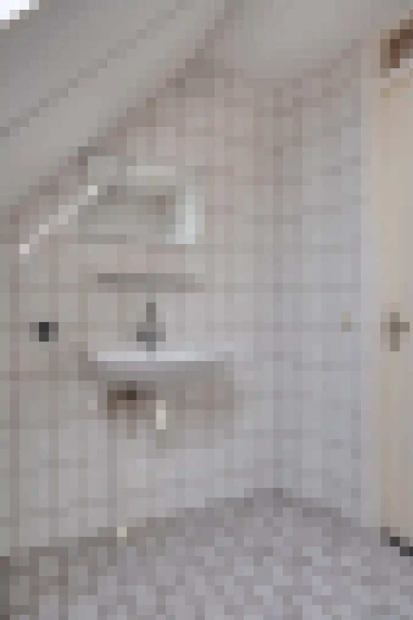 Beukenlaan 6 Nieuwe Pekela thumbnail 35