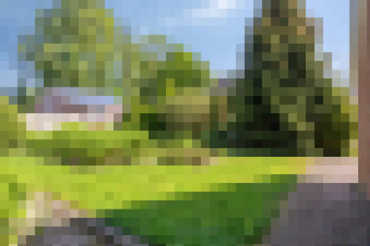 Beukenlaan 6 Nieuwe Pekela thumbnail 38