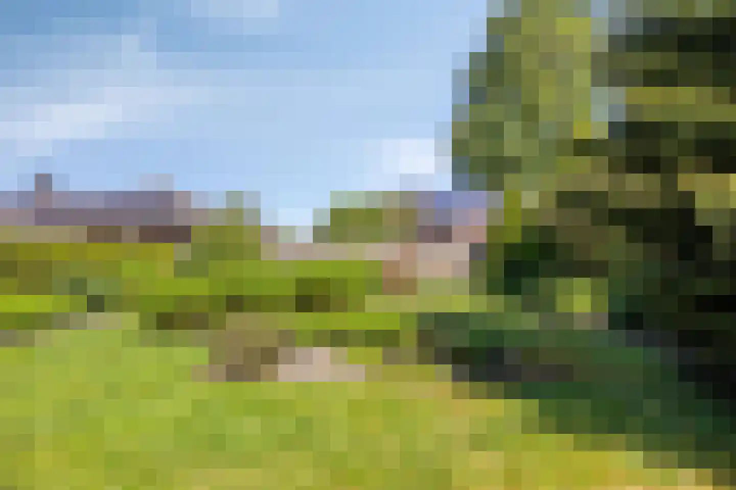 Beukenlaan 6 Nieuwe Pekela thumbnail 40