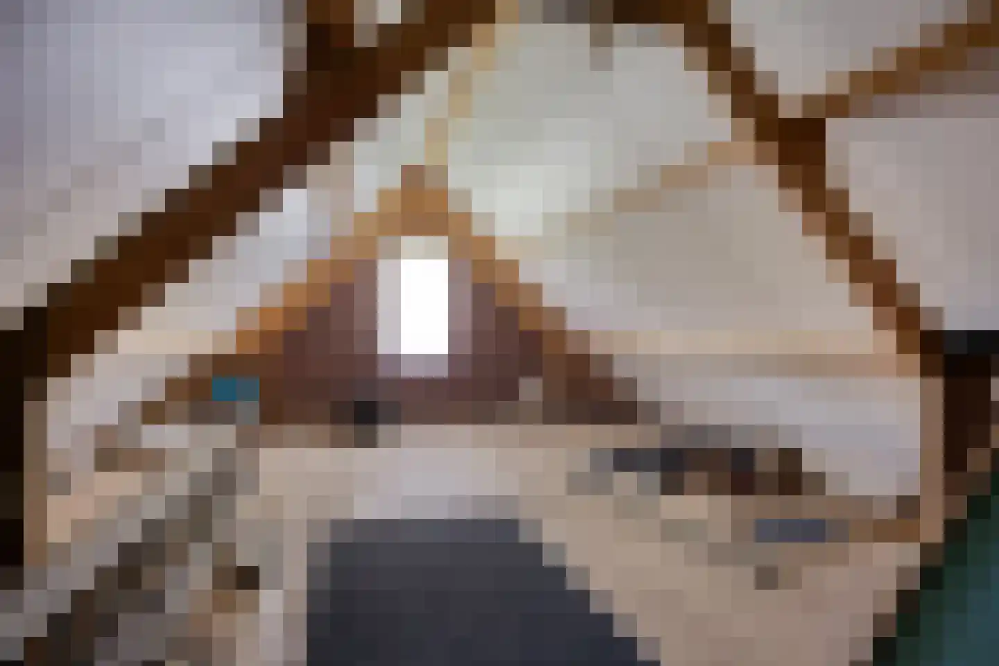 Beukenlaan 6 Nieuwe Pekela thumbnail 41