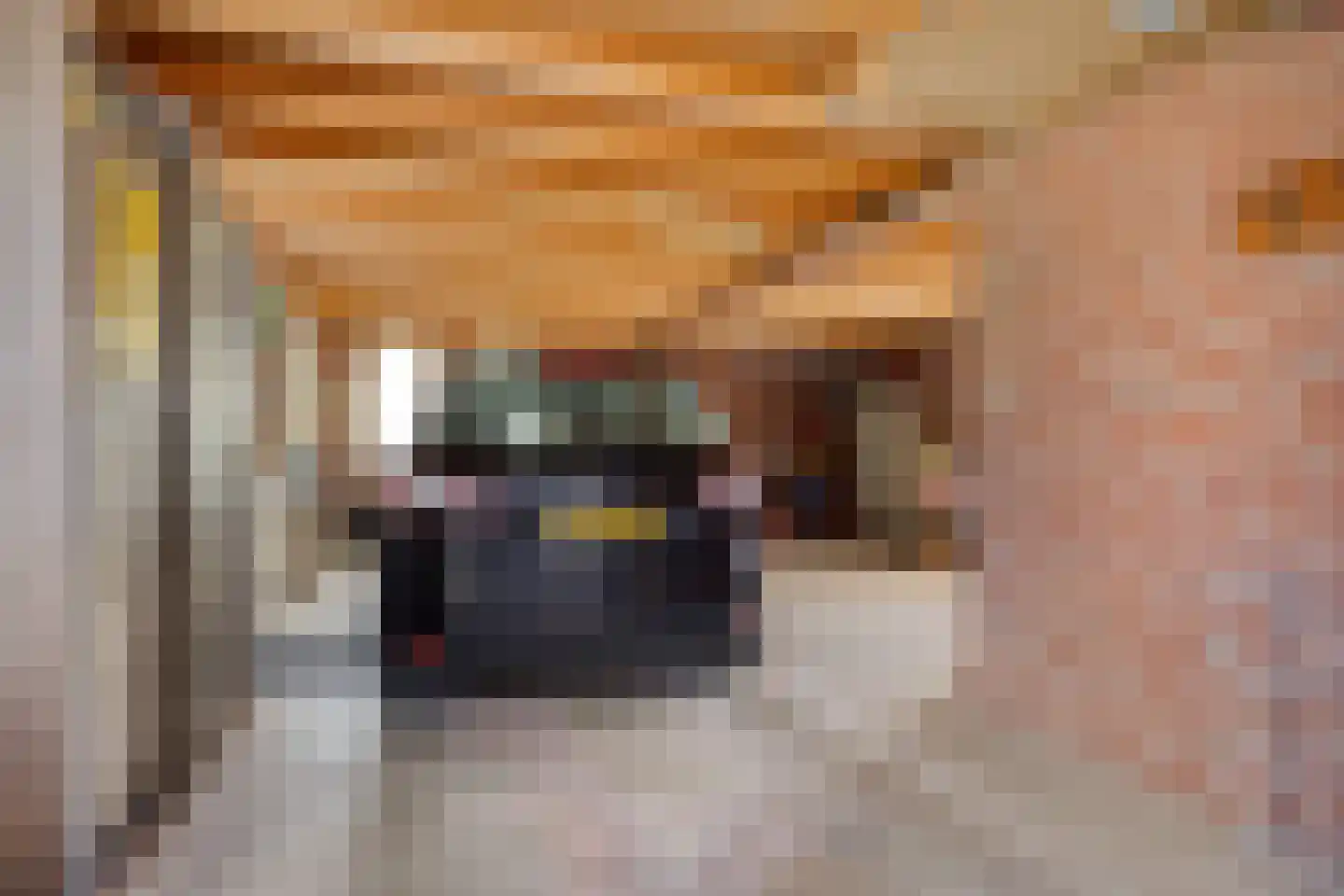 Beukenlaan 6 Nieuwe Pekela thumbnail 43