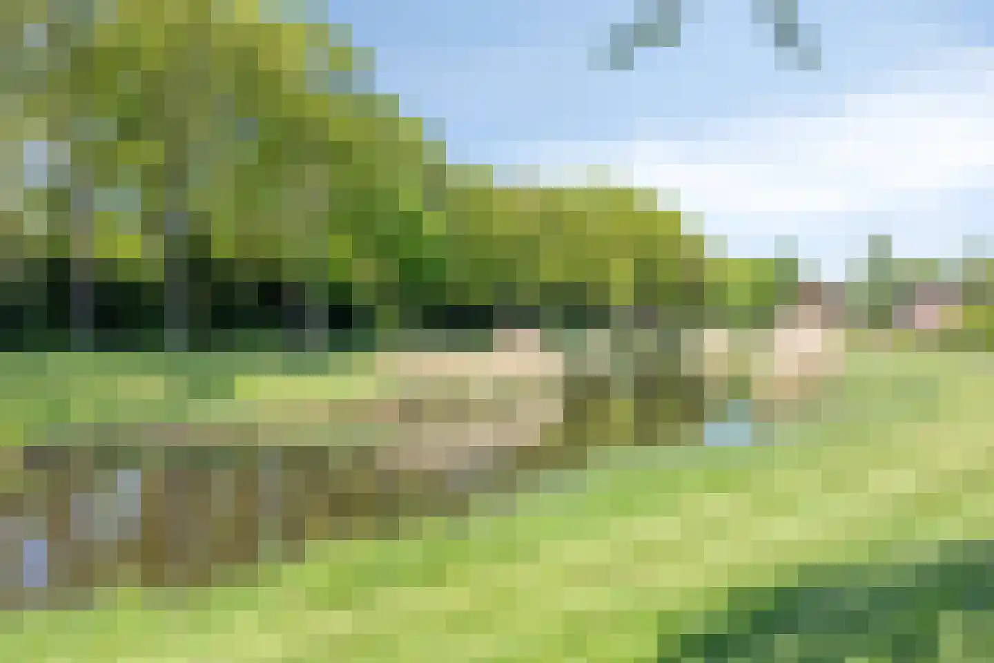 Beukenlaan 6 Nieuwe Pekela thumbnail 45