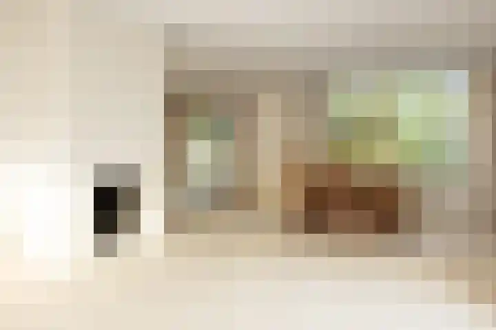 Beukenlaan 6 Sint-Michielsgestel thumbnail 10