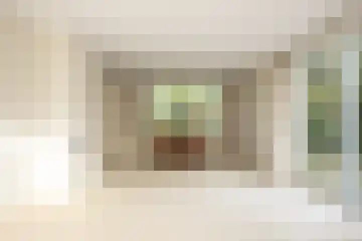 Beukenlaan 6 Sint-Michielsgestel thumbnail 11