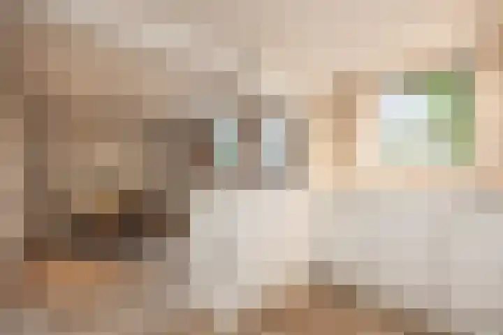 Beukenlaan 6 Sint-Michielsgestel thumbnail 15