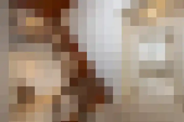 Beukenlaan 6 Sint-Michielsgestel thumbnail 24