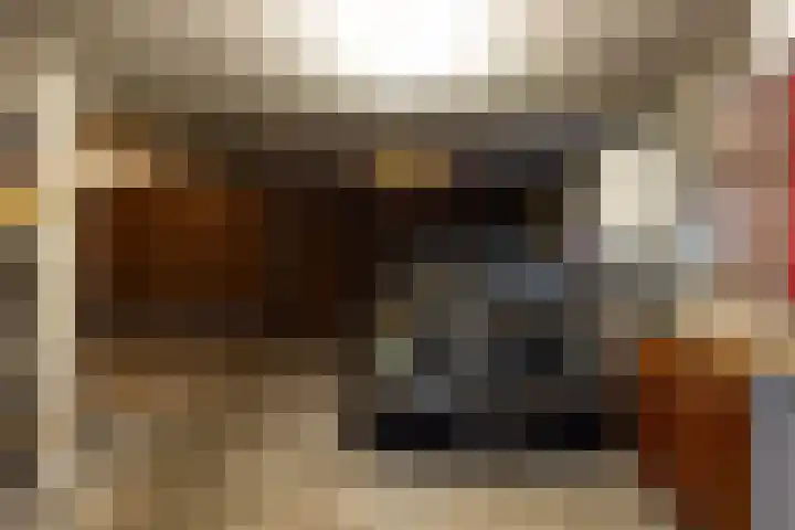 Beukenlaan 6 Sint-Michielsgestel thumbnail 29