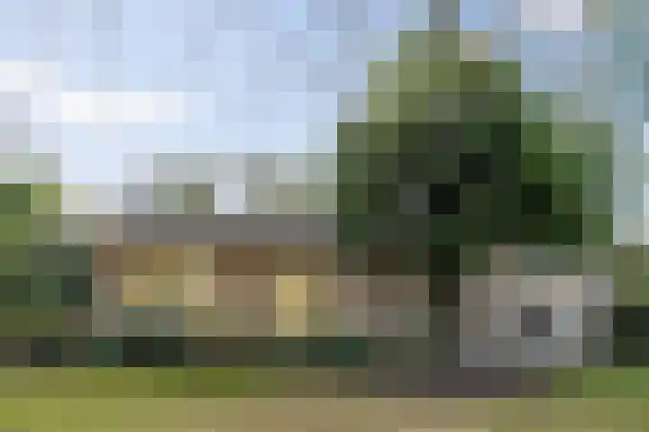 Beukenlaan 6 Sint-Michielsgestel thumbnail 30