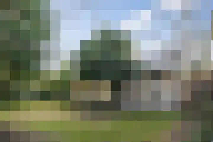 Beukenlaan 6 Sint-Michielsgestel thumbnail 31
