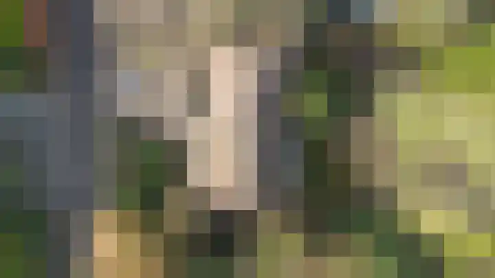 Beukenlaan 6 Sint-Michielsgestel thumbnail 33