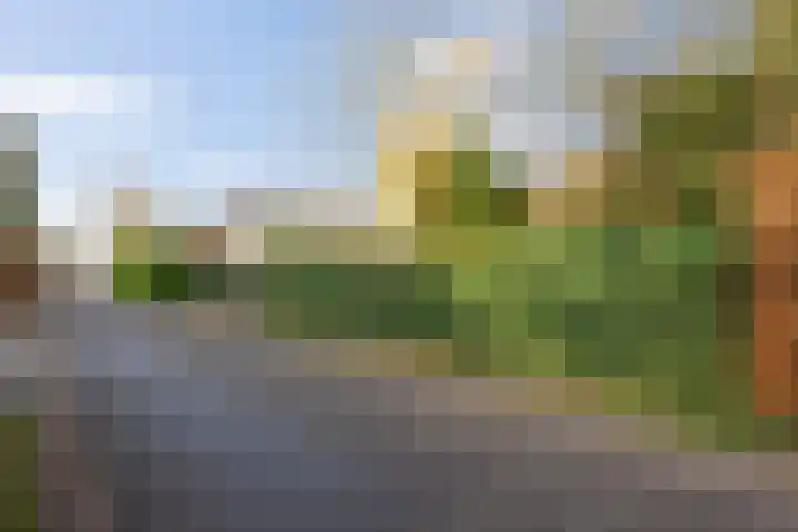 Beukenlaan 6 Sint-Michielsgestel thumbnail 34