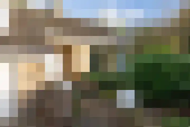 Beukenlaan 6 Sint-Michielsgestel thumbnail 5