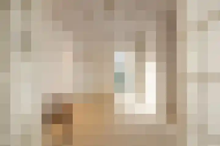 Beukenlaan 6 Sint-Michielsgestel thumbnail 6