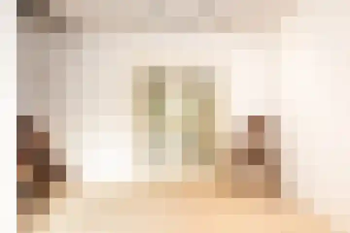 Beukenlaan 6 Sint-Michielsgestel thumbnail 7