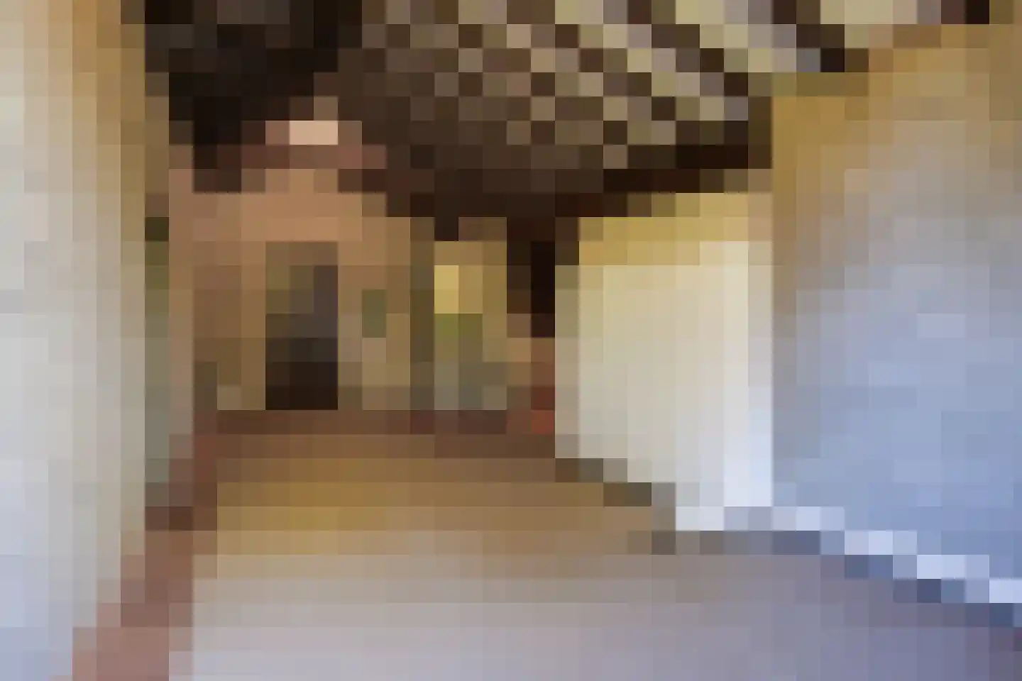 Beukenlaan 6 Valkenswaard thumbnail 30