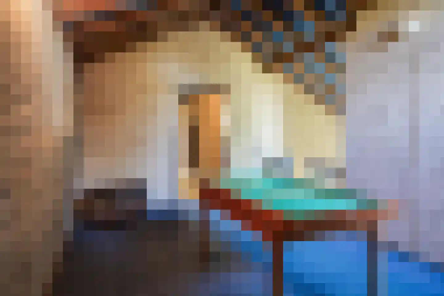 Beukenlaan 6 Valkenswaard thumbnail 34