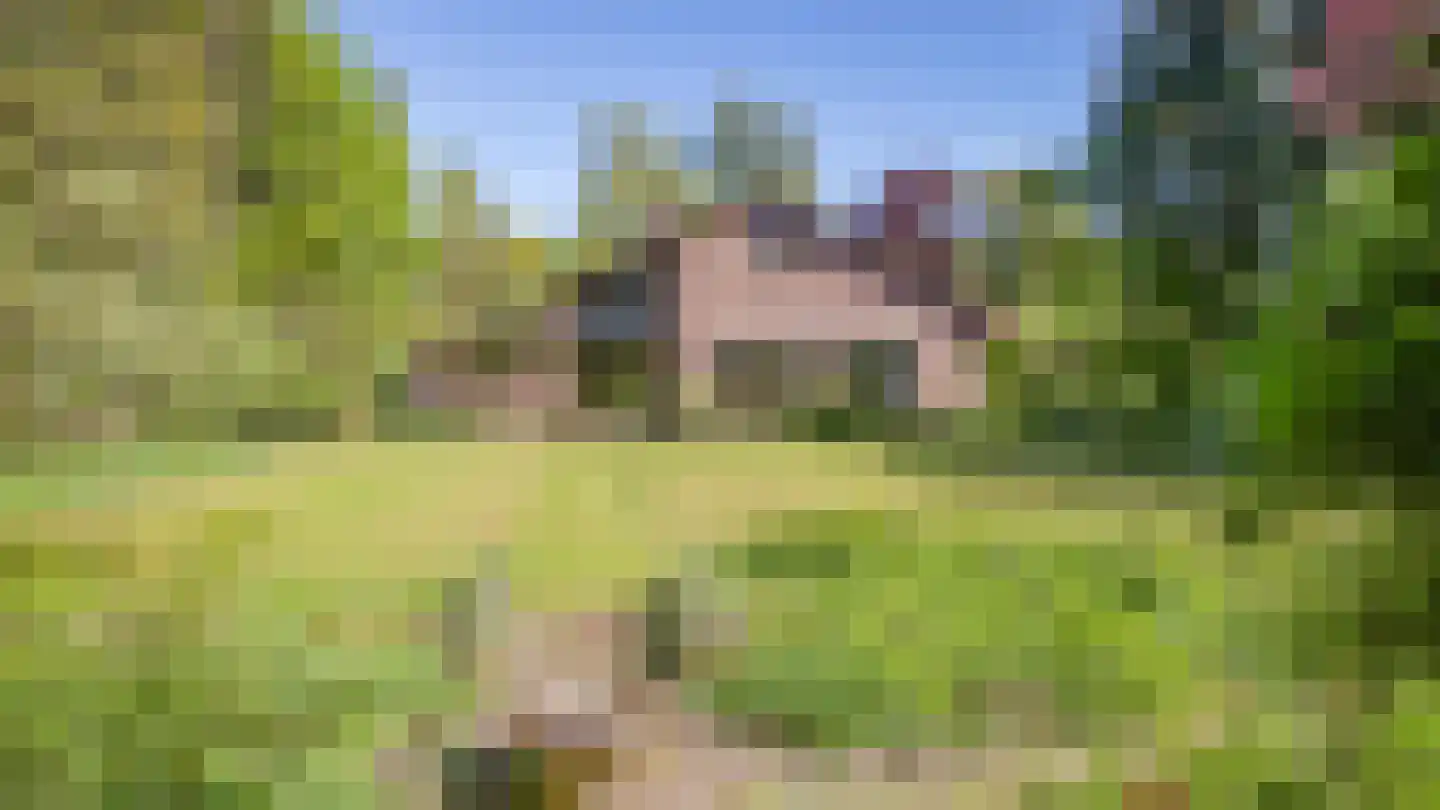 Beukenlaan 6 Valkenswaard thumbnail 37