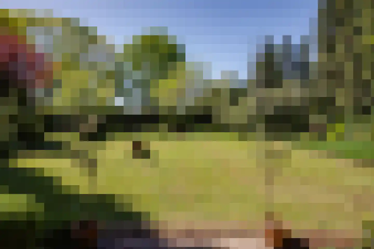 Beukenlaan 6 Valkenswaard thumbnail 38