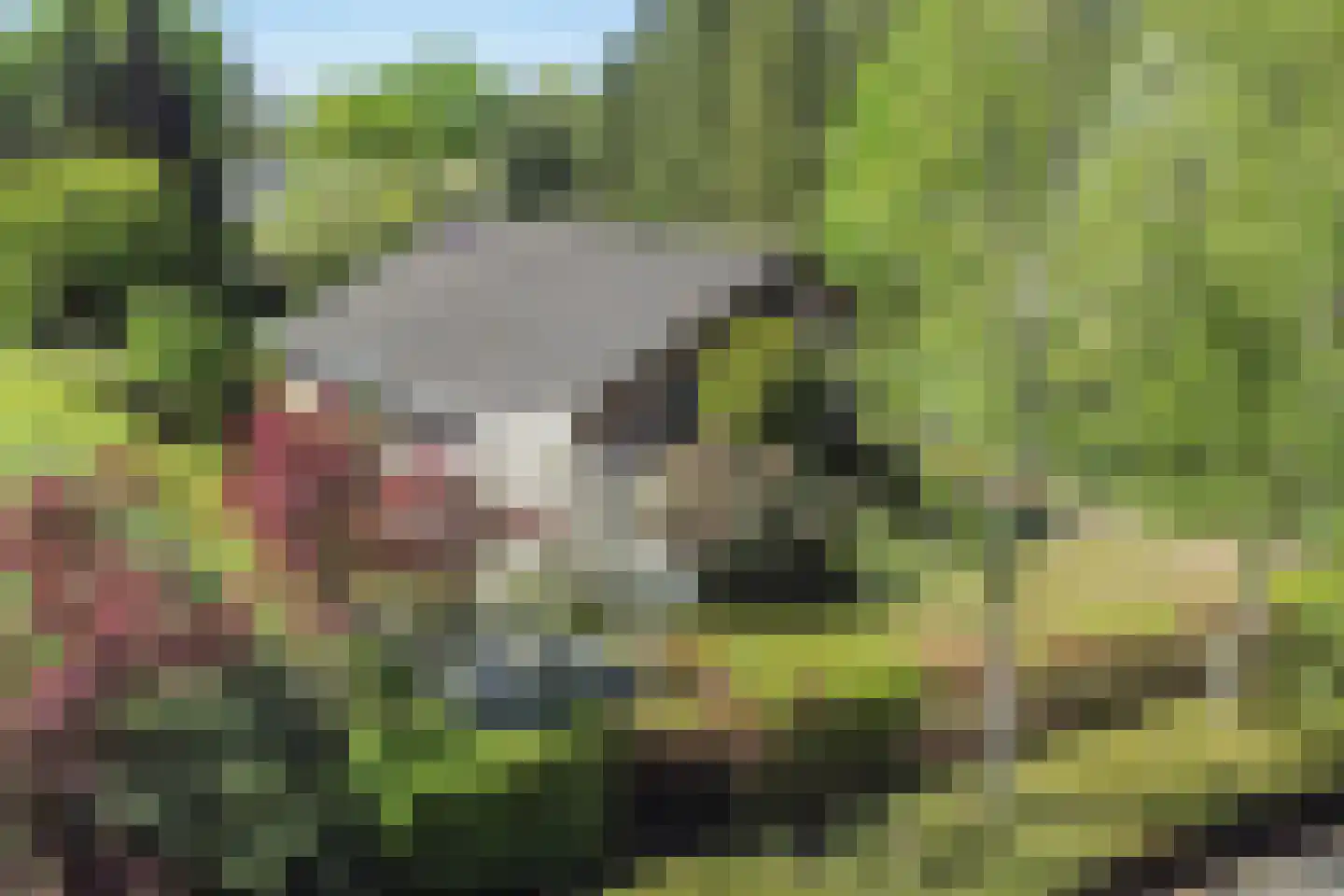 Beukenlaan 6 Valkenswaard thumbnail 45