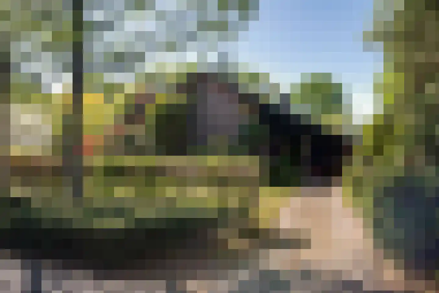 Beukenlaan 6 Valkenswaard thumbnail 47