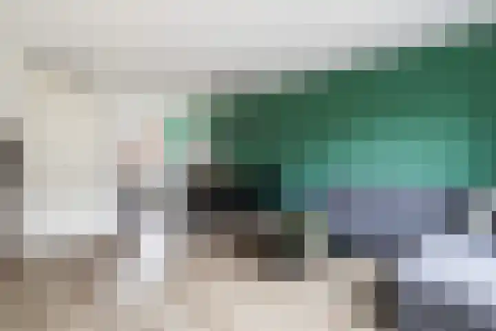 Beukenlaan 6 Woudenberg thumbnail 11