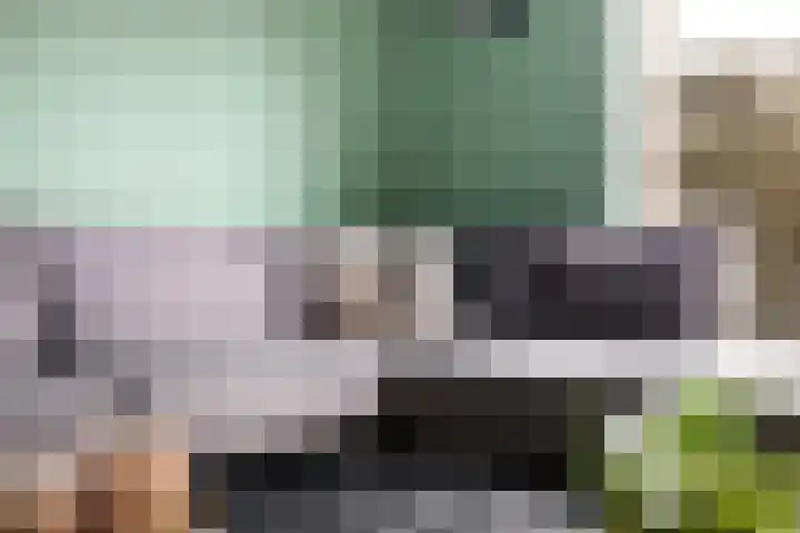 Beukenlaan 6 Woudenberg thumbnail 13