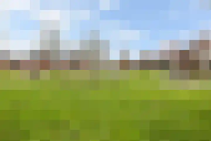 Beukenlaan 6 Woudenberg thumbnail 42